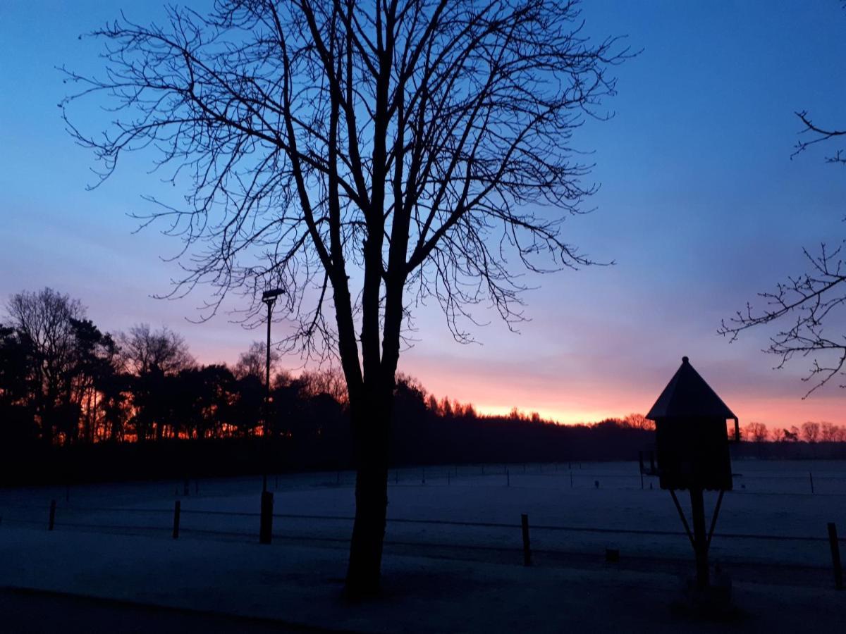 De Hammerhoeve Dalfsen Exterior foto
