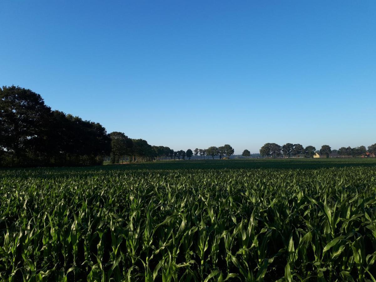De Hammerhoeve Dalfsen Exterior foto