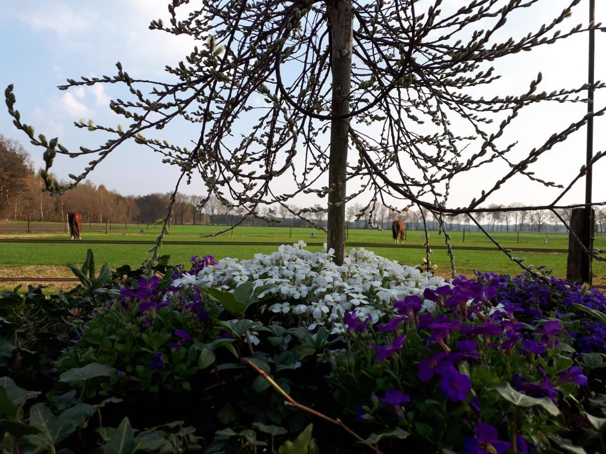 De Hammerhoeve Dalfsen Exterior foto